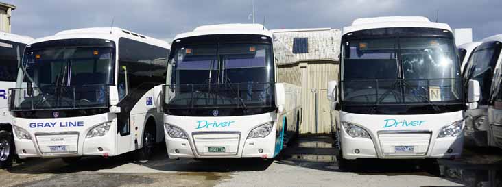 Driver Scania K310IB Higer A30 38, 50 & 52